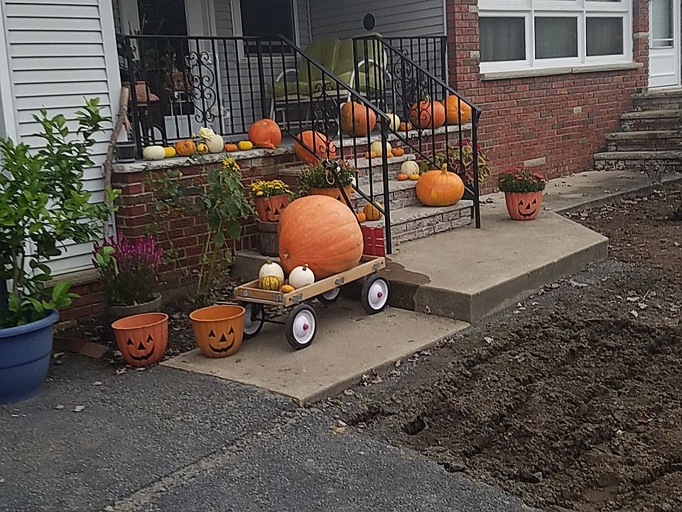pumpkins for the kids