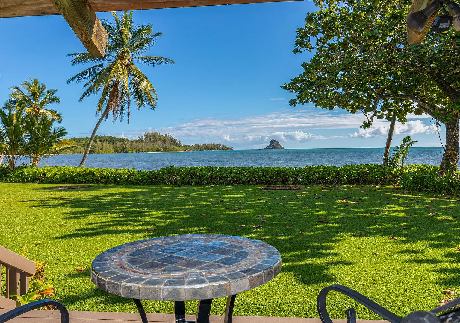 Hakipuu Hale — Photo 3