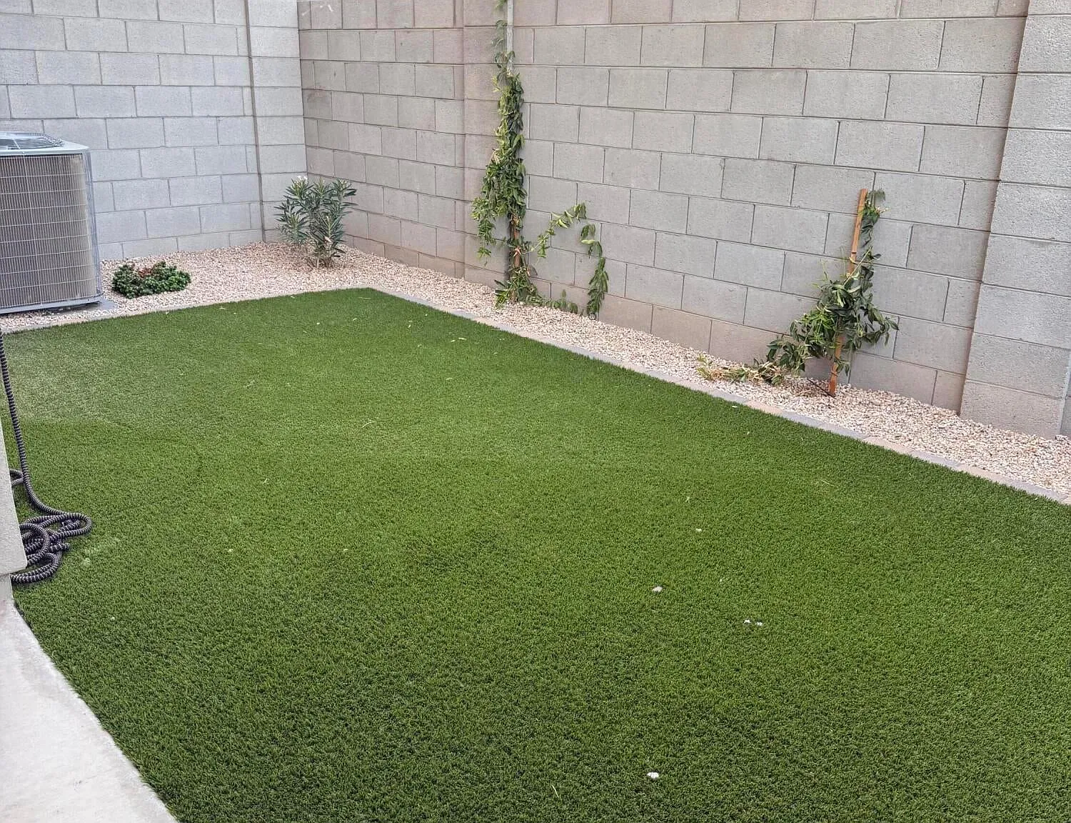 3 bed, 2.5 bath, 1962 sqft, $3,500 — Photo 4