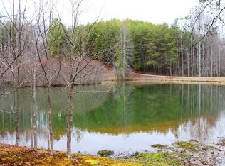 Hells Hollow Way, Blue Ridge, GA 30513