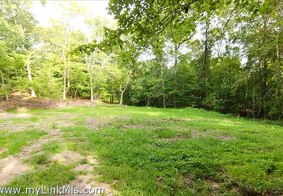 Beautiful, Level Lot for Build: View 1