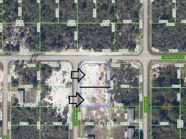 324 Coquina Ave NE #1, Lake Placid, FL 33852