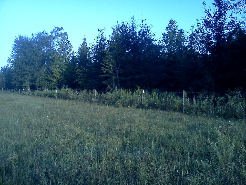 2nd image of Ne Cr 255