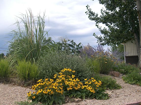 front yard to the NW