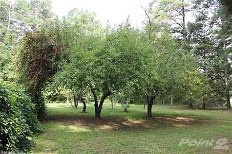 Various fruit trees.  Also Muscadine vines.