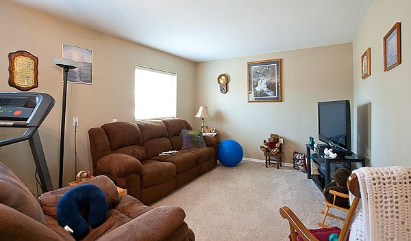 Basement Family Room