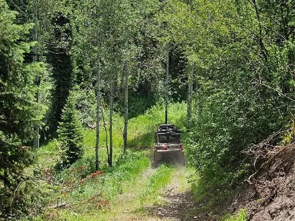 TBD RCR 50, Steamboat Springs, CO 80487