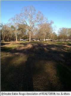 2nd image of 7 S Serene Rd