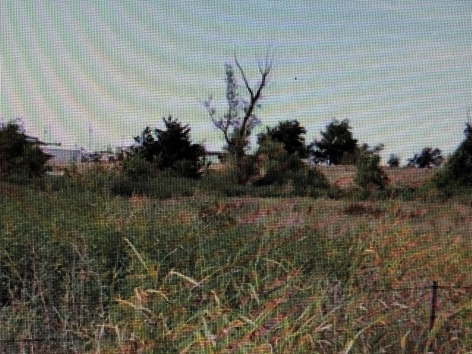 2nd image of 2 SE Sunnyside Dr Lot 3