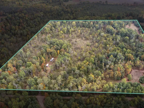 10934 40th Ave, Evart, MI 49631