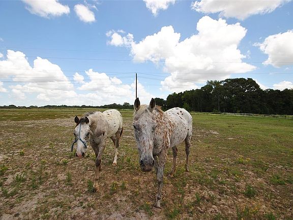 4th image of 2338 County Road 303