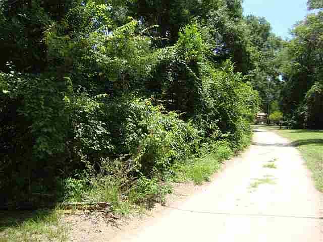2nd image of 18458 Talquin Dr