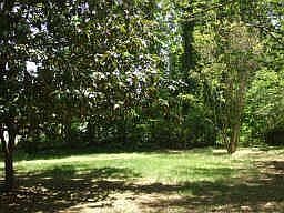 Wooded .69 acre lot