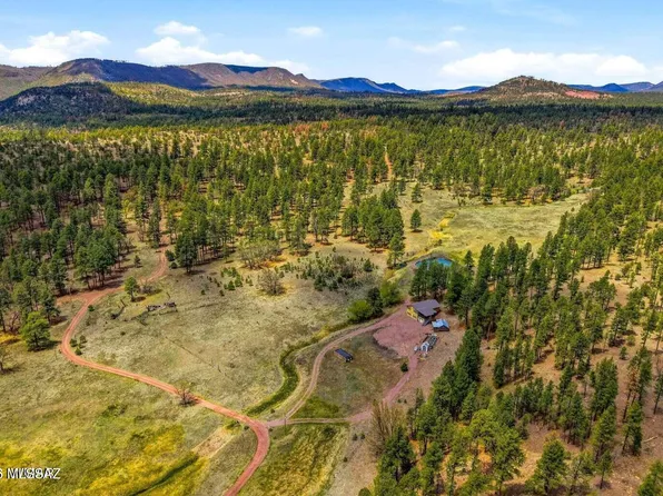 28 County Road 2310, Alpine, AZ 85920