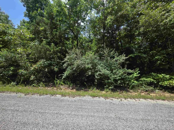 1101 Michigan Ave, Horseshoe Bend, AR 72512