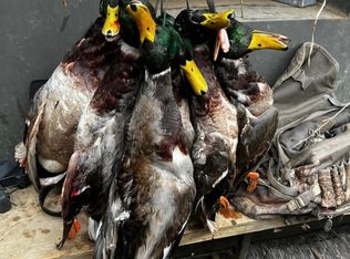 0 Perry Rd, England, AR 72046