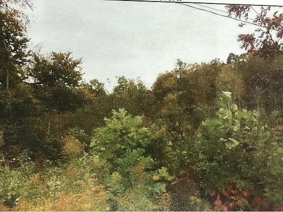 4th image of 121 Valley View Pvt Dr