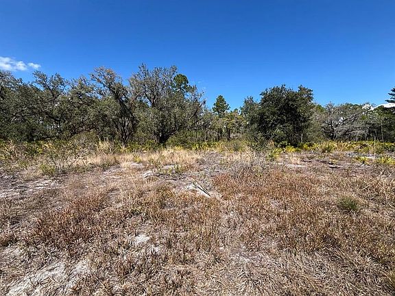 4th image of 1006 PALM AVENUE LOT 3