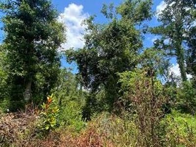 0 SW Main St, Greenville, FL, 32331
