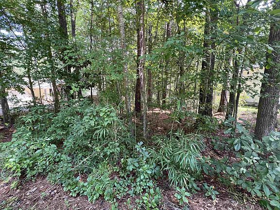2nd image of 761 Riverbirch Dr #356