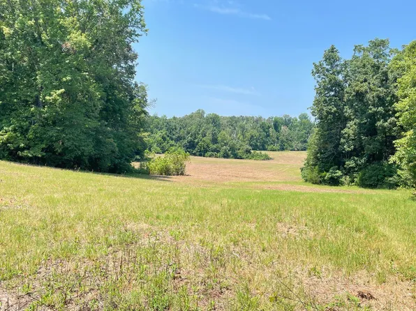 324 & 328 Spring Creek Rd, Medina, TN 38355