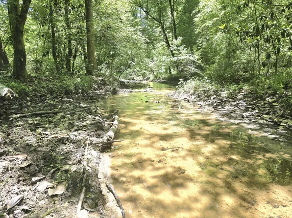 0 Williams Mill Rd, Clayton, AL 36016