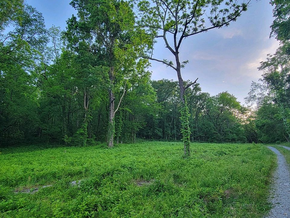 2nd image of 0 Poplar Bluff Rd W Lot 5