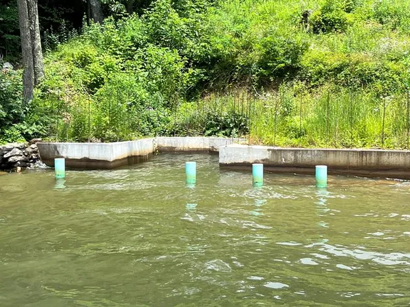 337 Flat Top Lake Rd, Ghent, WV 25843