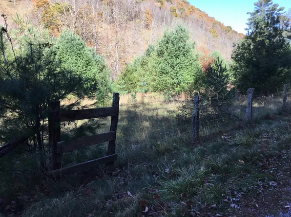 2817 Dry Run Rd, Sugar Grove, WV 26815