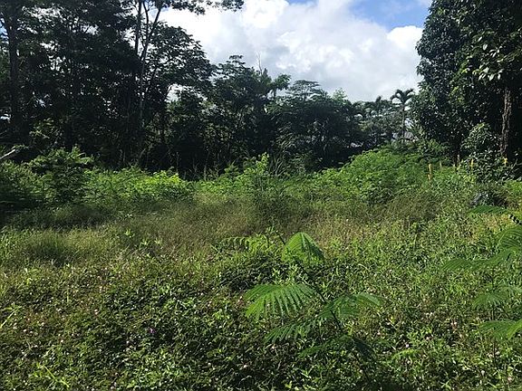 4th image of Niuhi St Lot 1391