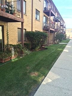 2nd image of 7200 W Wrightwood Ave APT 2S