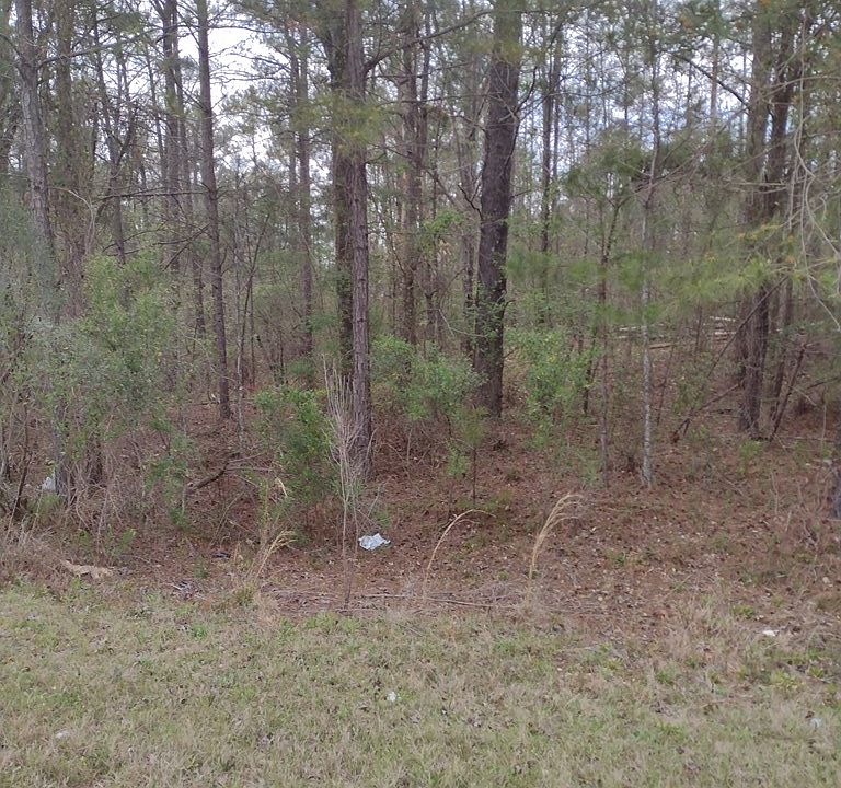 2nd image of 141 Cicada Dr SE