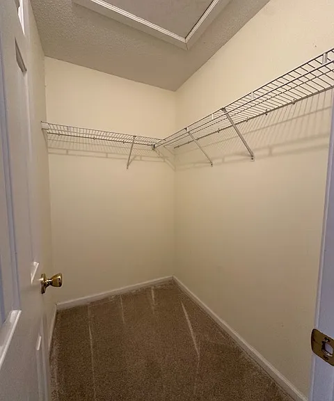 2000 Water Oak Dr #4-B — Photo 10