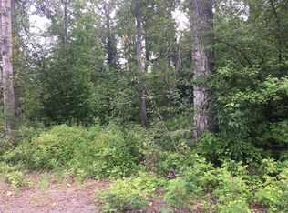 4585 S McKechnie Loop, Palmer, AK 99645