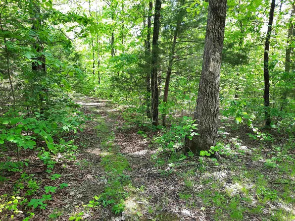 Flat Rock Rd, Mountain View, AR 72560