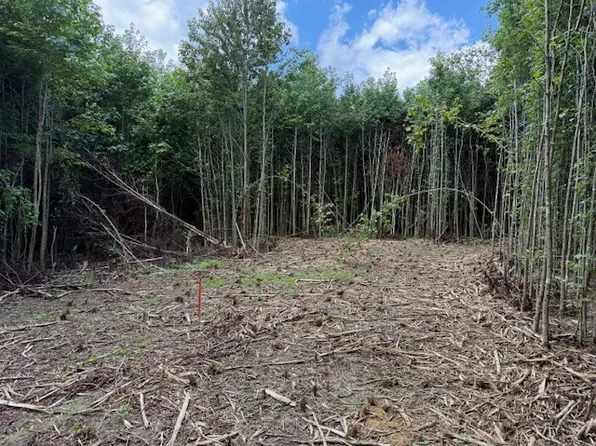 1936 Goforth Rd Lot 6, Morrison, TN 37357