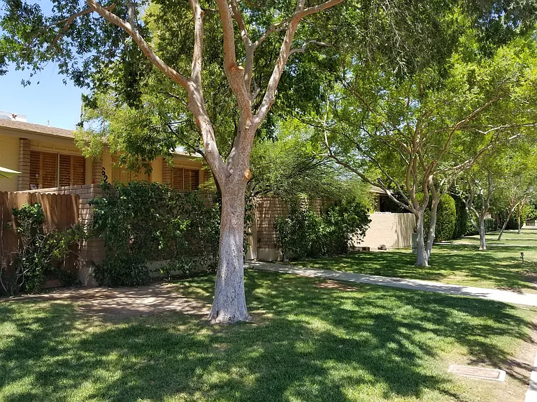 7628 E Camelback Rd — Photo 16