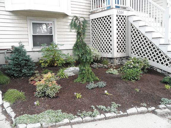 New landscaping 2010