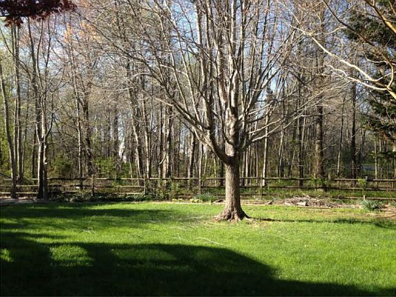 View from deck