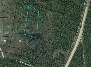21 Hawks Way, Waynesville, GA 31566