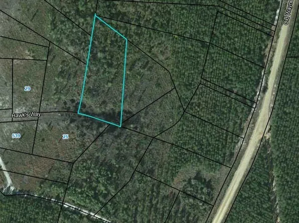 21 Hawks Way, Waynesville, GA 31566