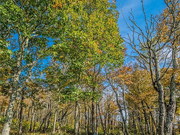 5th image of Lot 196 Green Cliffs Road