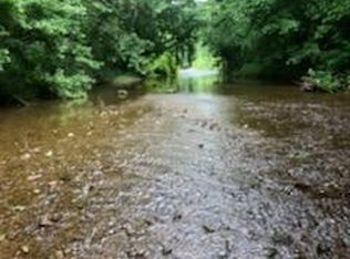 0 Bucksnort Rd, Only, TN 37140