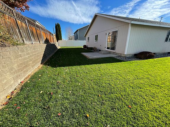 Back yard