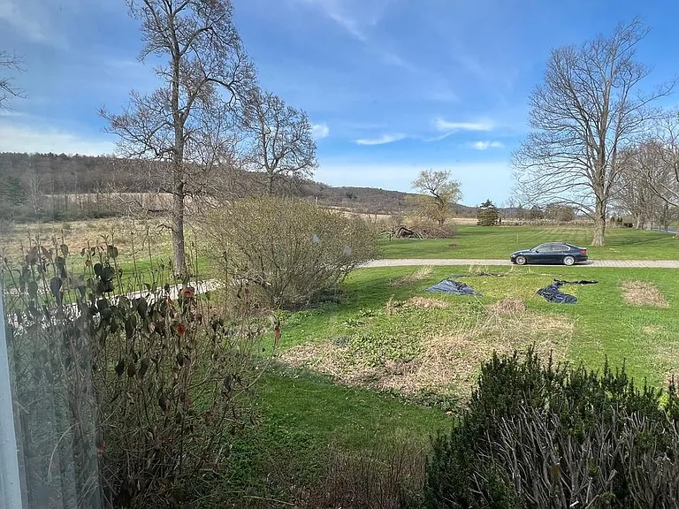1183 Halfmoon Valley Rd — Photo 38