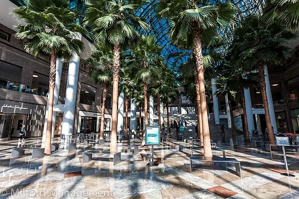 Rented by Milford Management | media 22