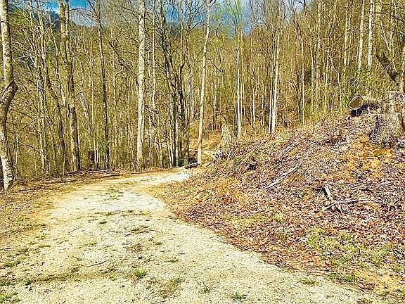 5th image of 5 Brasstown Rd
