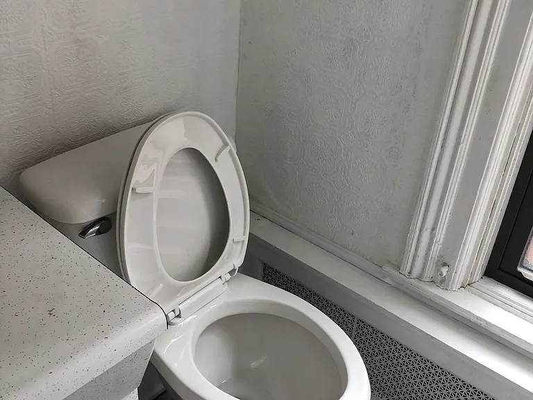 Bathroom Toilet