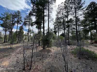 6992 Wagon Wheel Ln, Lakeside, AZ, 85929