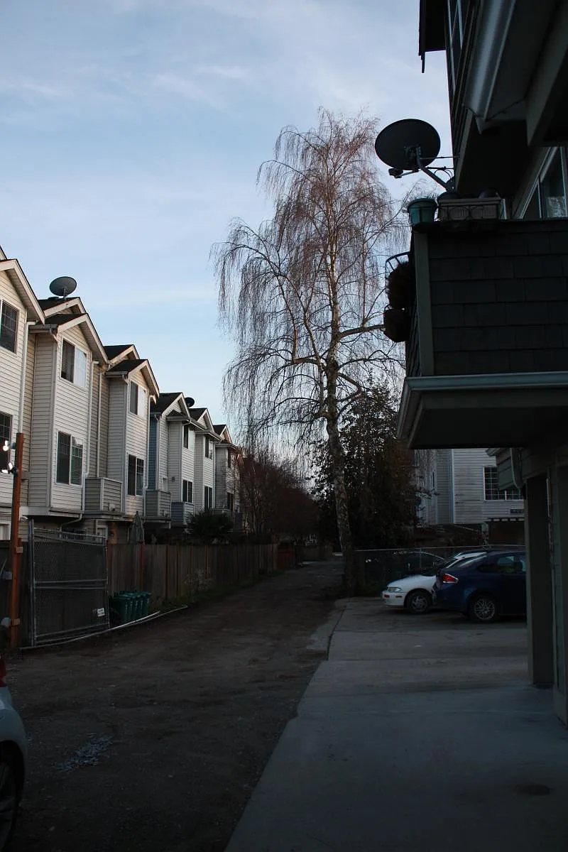 View down private dead-end alley - 8534 Nesbit Ave N #A